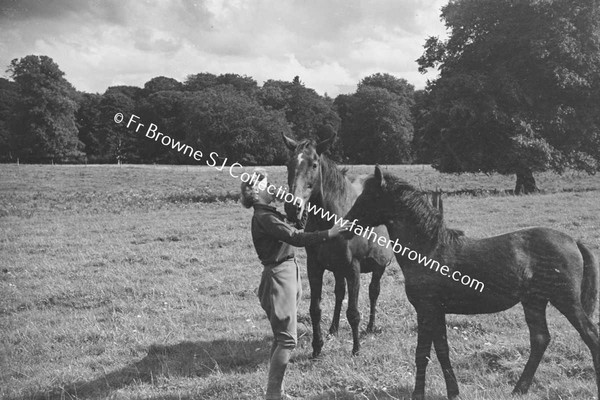 HEADFORD HOUSE  MISS ELIZABETH CLARKE WITH THOROUGHBRED MARES AND FOALS